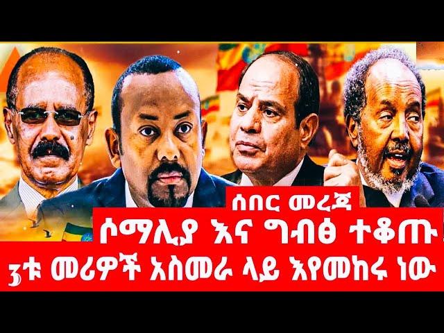 ሶስቱ  መሪዎች  አስመራ  ላይ  እየመከሩ  ነው   ሶማሊያና  ግብፅ  ተቆጡ