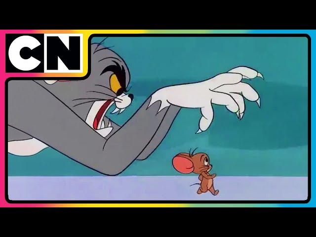 Tom’s Wild Trap Showdown!  | #TomandJerry | Compilation | Cat & Mouse | Funny Cartoon | @cnindia