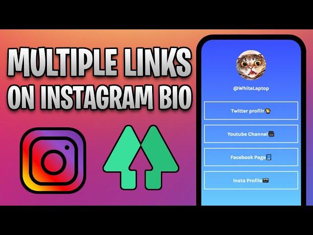 How to Make a Linktree on Instagram