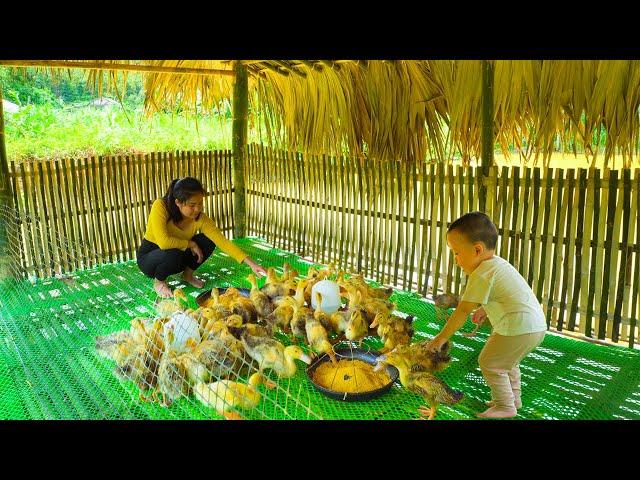 Completing the bamboo hut for raising ducks, raising a flock of duckling - THANH HIEN Building Life