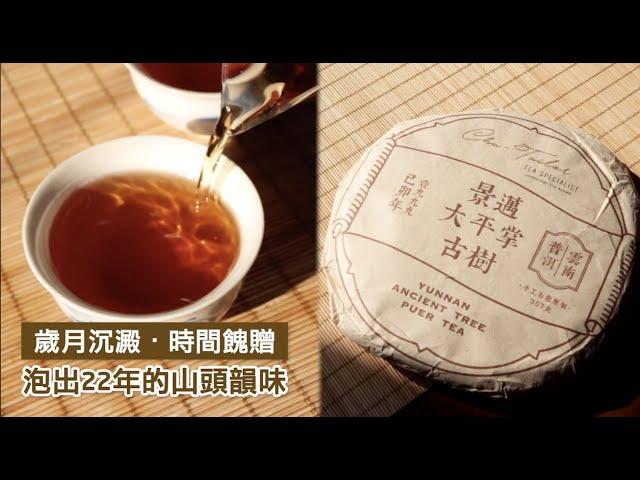 1999年景邁大平掌古樹普洱生茶 | Cha-Tailor Tea Specialist