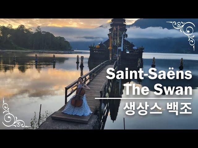 Saint-Saëns - The Swan | Cellist Hee-Young Lim 생상스 백조 | 첼리스트 임희영