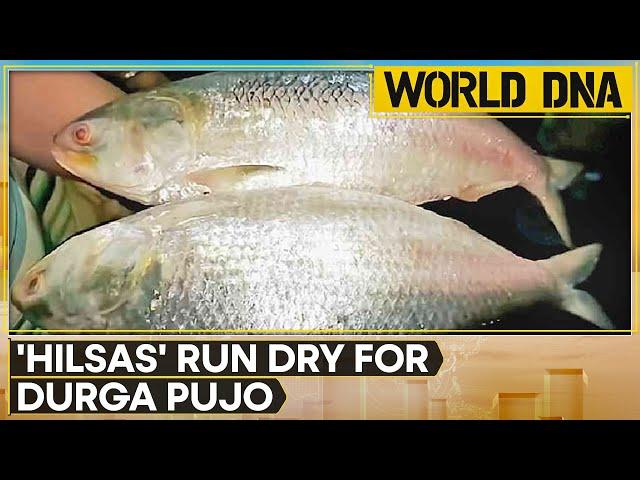 Bangladesh halts Hilsa fish exports to India | Latest English News | WION World DNA