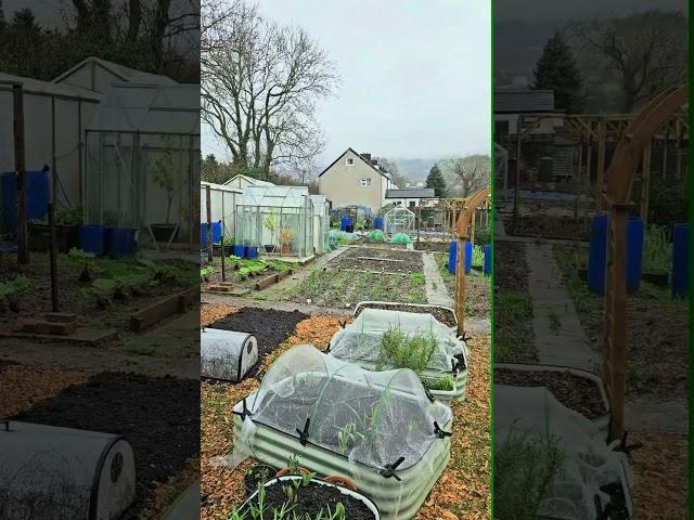 Completing the No Dig Kitchen Garden #shorts #gardening #nodig