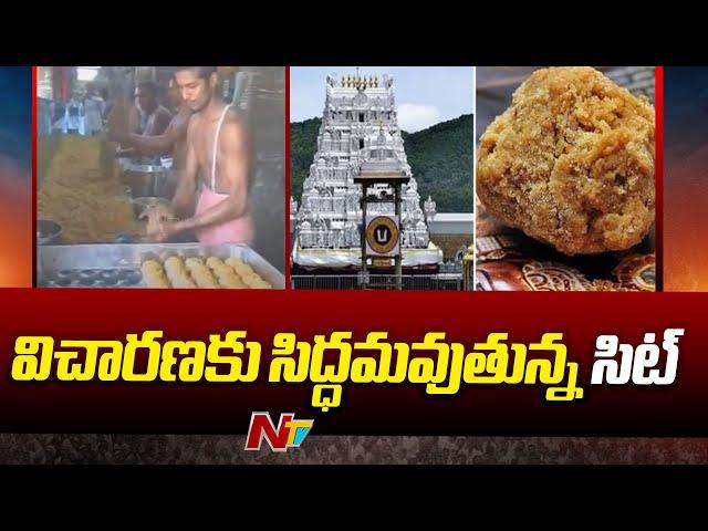 TTD Laddu Controversy: తిరుమల లడ్డూ వివాదంపై విచారణకు సిద్ధమవుతున్న సిట్ | Ntv