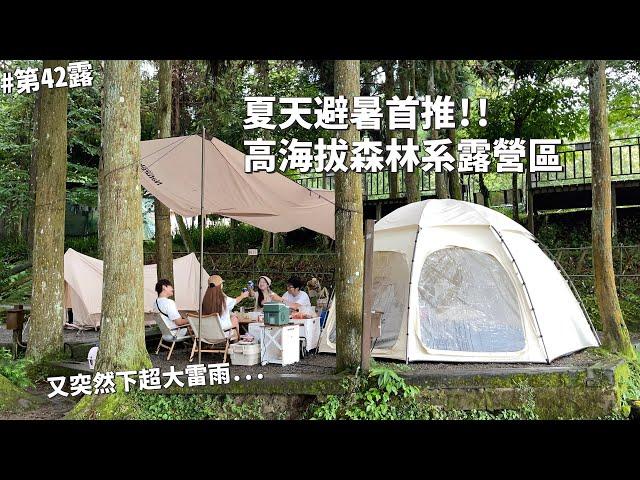 第42露｜露營VLOG｜夏天避暑首推！高海拔森林露營區！又突然下超大雷雨.....｜杉嵐營地｜倫倫 LunLun