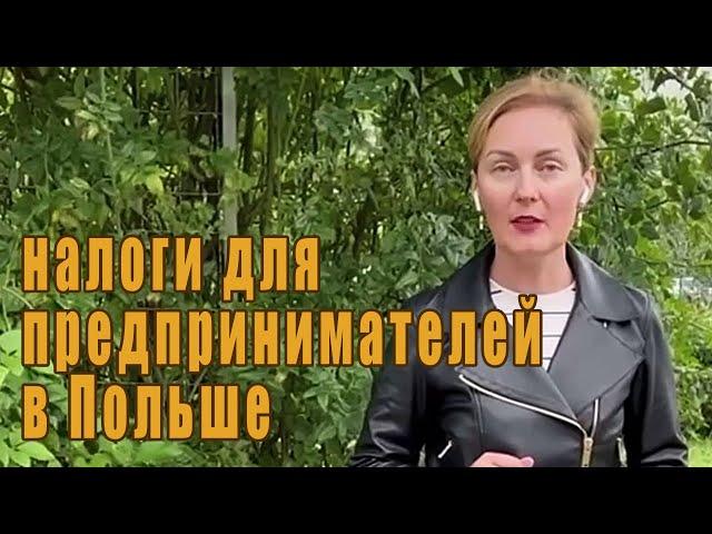 Налоги для ИП в Польше