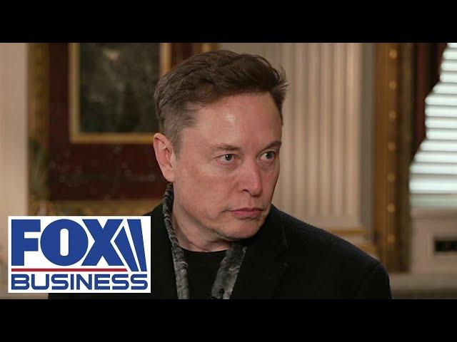 Elon Musk exposes why Democrats don’t want ‘waste and fraud’ to be turned off