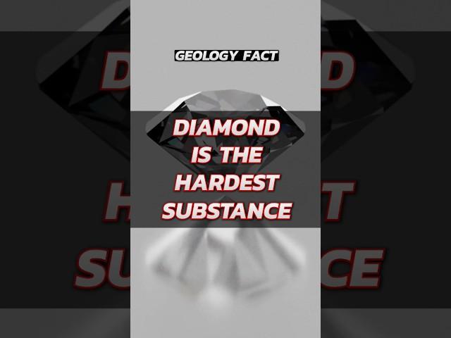 Daily Science Facts #5 #science #sciencefacts #trivia #facts #sciencetrivia