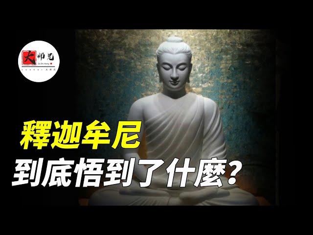 释迦牟尼到底悟到了什么？ 为什么他居然说这个世界没有主宰，没有神！|seeker大师兄