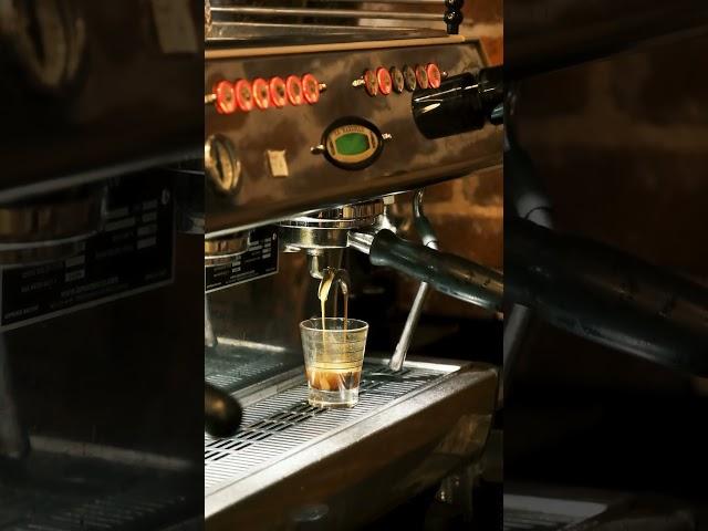 Myth: Dark roast = stronger coffee?  #coffee101 #brewedition #milkfoam #coffeetips #morningbrew