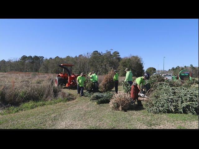 WSAV News 3 at 6:00 p.m.