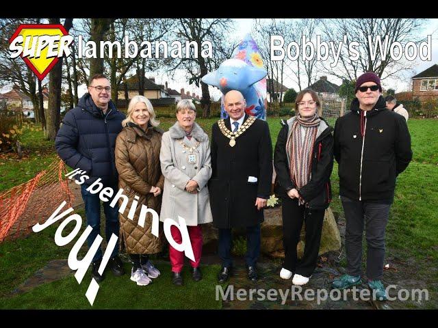 Superlambanana lands in Bobby's Wood Maghull Merseyside