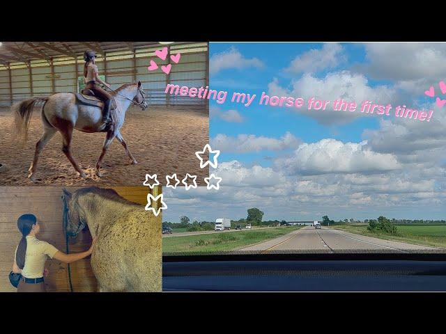 Meeting My Horse for the First Time | My Wish Series | Ep 2