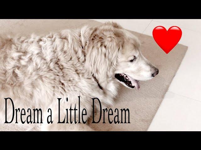 Dream a Little Dream - Sandeep Boniface (Cover)