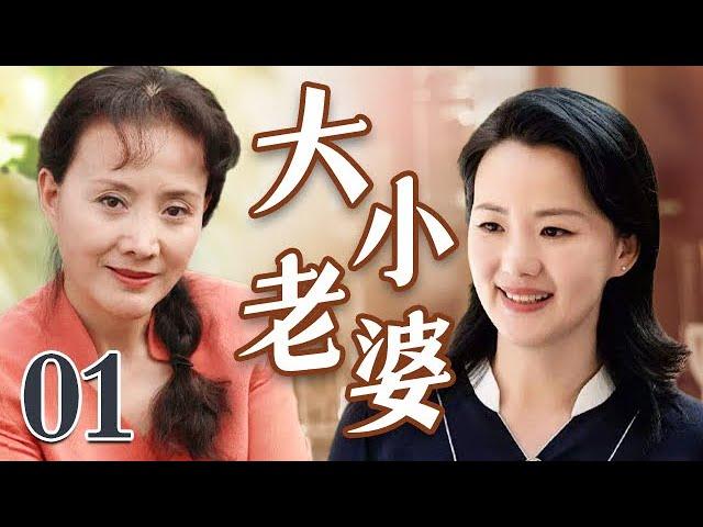 【好看的电视剧】大小老婆 01 | 大小老婆各怀心思，争相讨好丈夫，纠缠中上演一出精彩好剧！