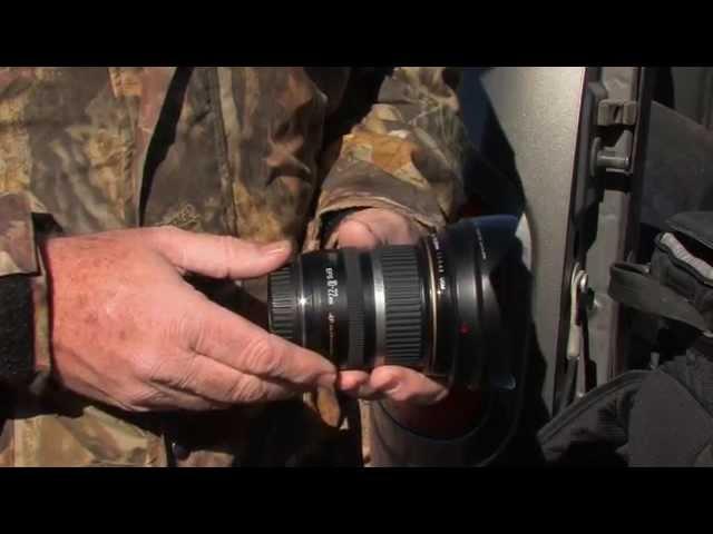 Lynn Chamberlain's Camera Outdoors - Mule Deer on the Paunsaugunt