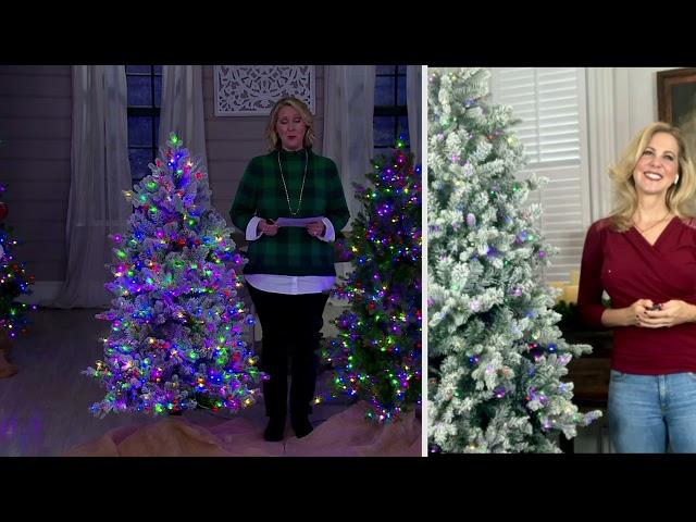 Home Reflections Color Flip Fairy Light Christmas Tree on QVC