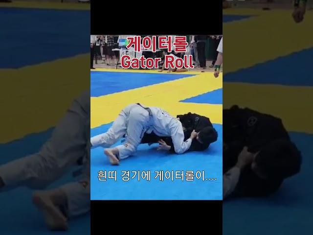 #게이터롤 #gatorroll #bjj #주짓수 #jiujitsu