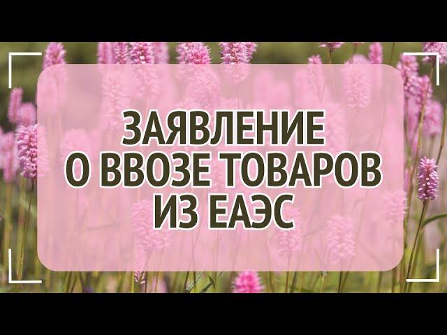 #11 Важно при заполнении заявления о ввозе товаров из ЕАЭС в 1С Бухгалтерия.