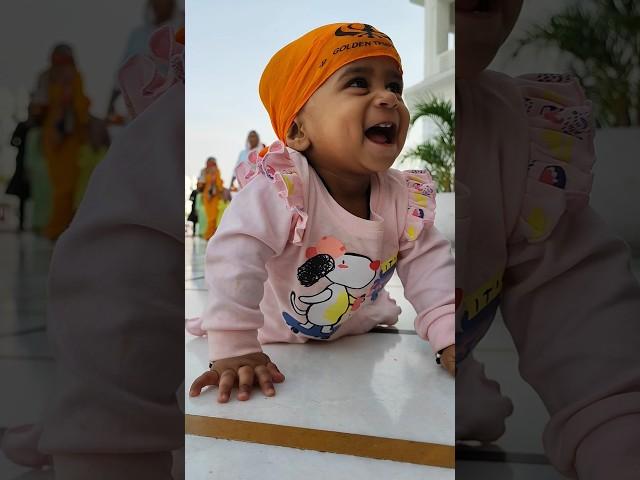 tiny giggles  #shorts #babygirl #babyvideos #youtubeshorts
