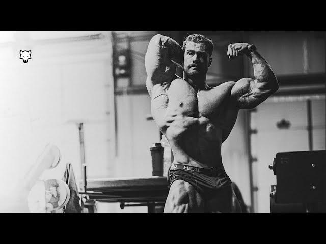 BAD WOLF  - Chris Bumstead