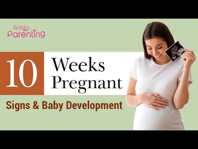 10 Weeks Pregnant - Signs and Baby Development