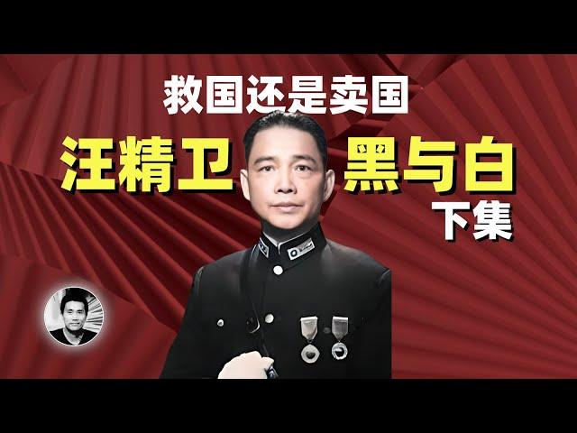 救国还是卖国：汪精卫的黑与白（下集）