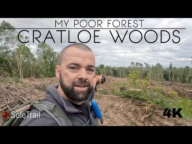 My Poor Forest is being Cut Down - My 18 Year Old Dogs Birthday - 4k - SoleTrail