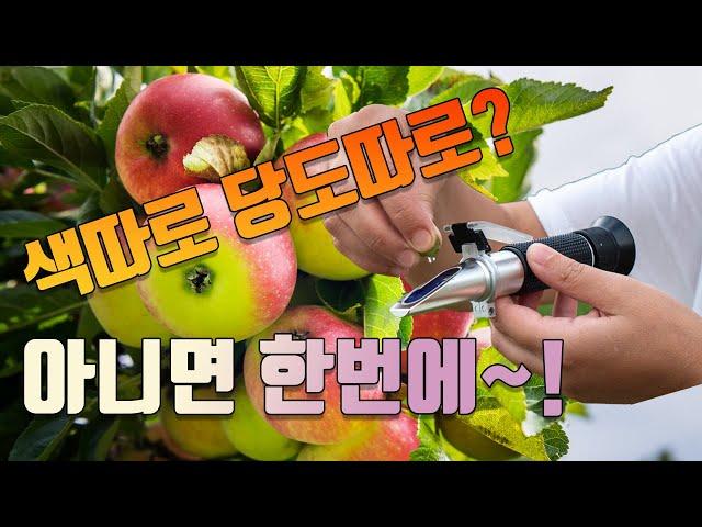 착색제 따로 당도제 따로 사용해야 할까요? 한번에 안되나요?