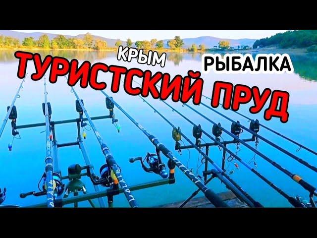 Пруд туристский рыбалка. Пруд туристский орлиное рыбалка. Ловля карпа в Крыму.