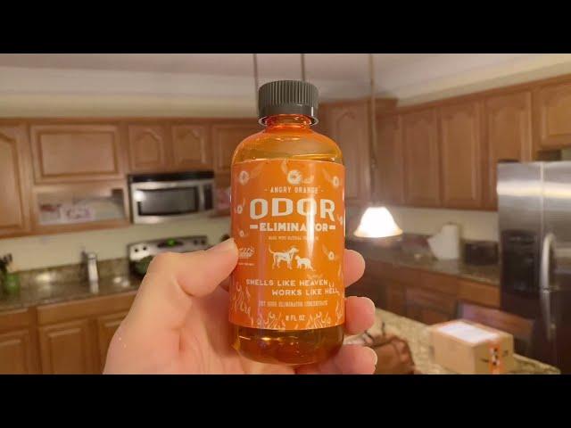 Angry Orange Pet Odor Eliminator Review