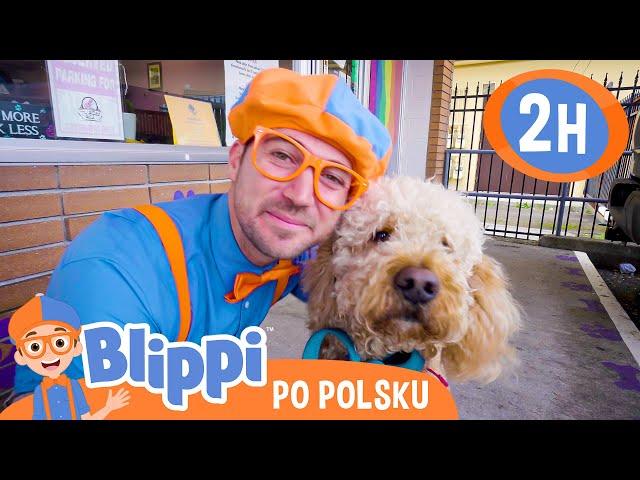 Blippi spotyka słodkie zwierzakiBlippi po polskuNauka i zabawa dla Dzieci