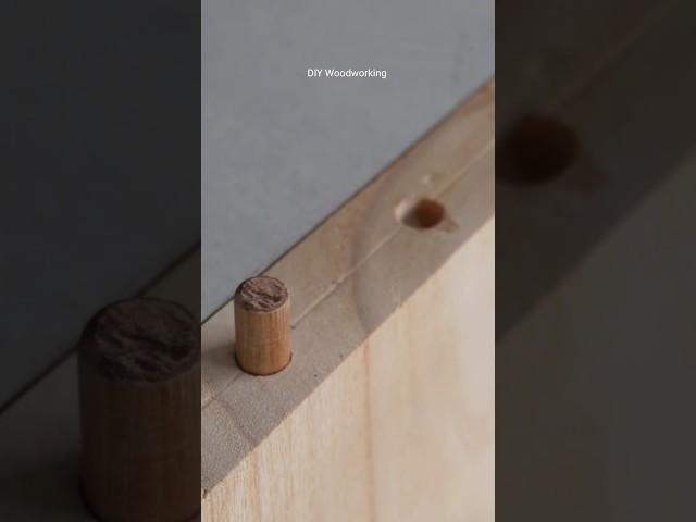 DIY dowel joints for beginners #tools #woodworking #shorts #woodwork