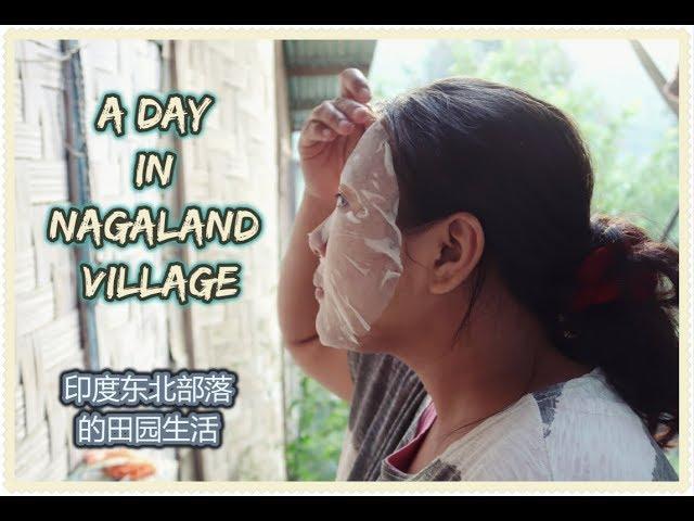 Living Like a Local in a Naga Village INDIA | 第5次独行印度#4 东北部落的田园生活