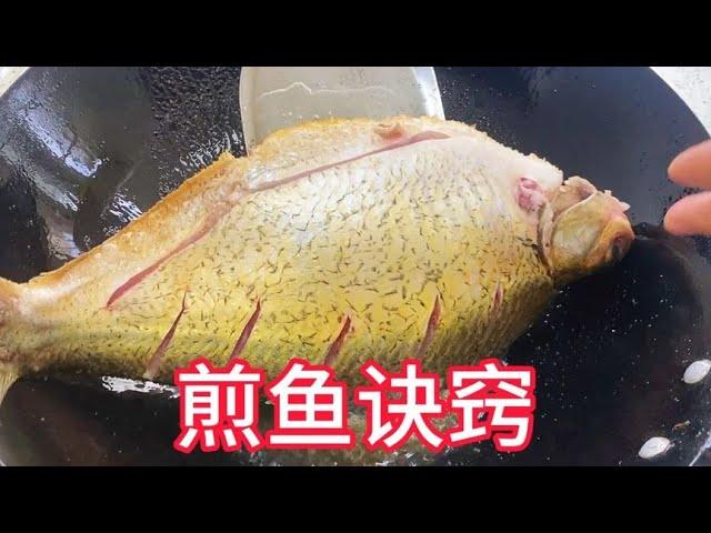 教你煎鱼诀窍，不粘锅不破皮，红烧鱼太香了！【覃厨说美食】#中国美食 #煎鱼 #家常菜