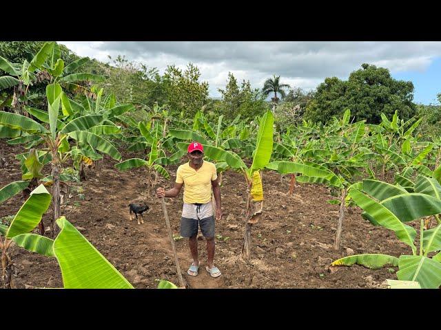 EL CONUCO  De Diogenes Parece Un Jardin .LA VIDA DEL CAMPO