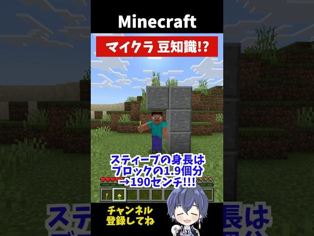 【マイクラ】みんな知ってる？マイクラ豆知識！