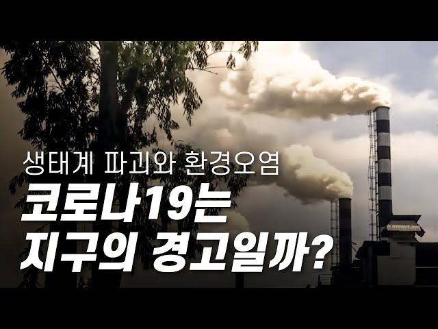 코로나19, 지구의 경고 - 생태계 파괴와 환경오염, 기후위기가 불러온 재앙일까? [다큐S프라임] / YTN 사이언스