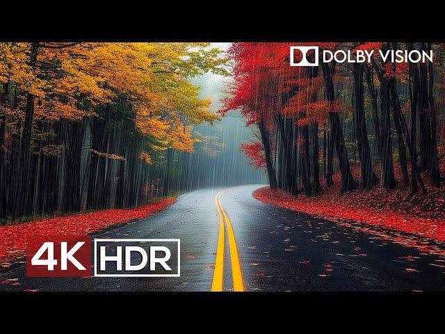 Most Relaxing 4K Video Ever (60fps HDR Dolby Vision)