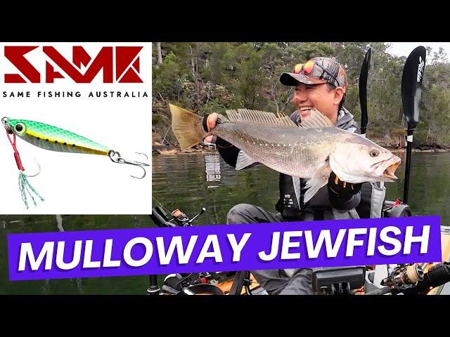 Jigging for MULLOWAY Jewfish!