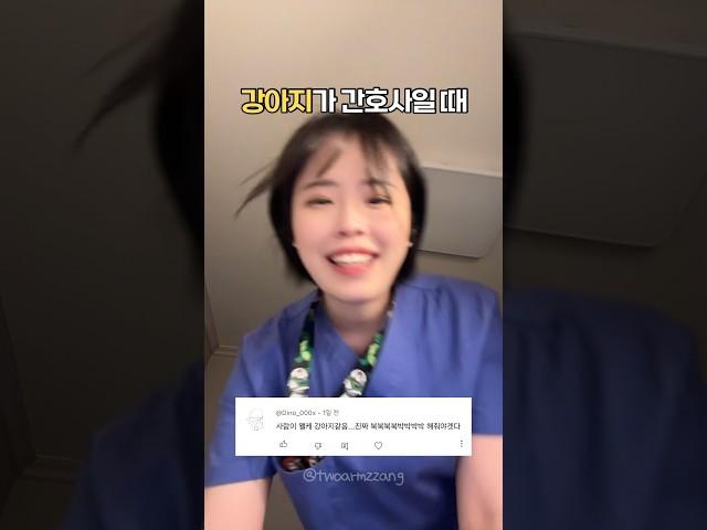 강아지가 간호사가 되었을 때 asmr  #간호사