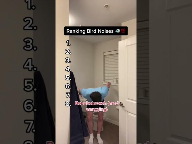 Ranking Bird Noises  Insp. By @okcron