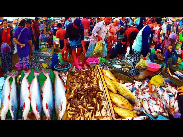 Cambodian Daily Early Morning Fish Market Scene   Routine Khmer People Buying Fish, Seafood & More