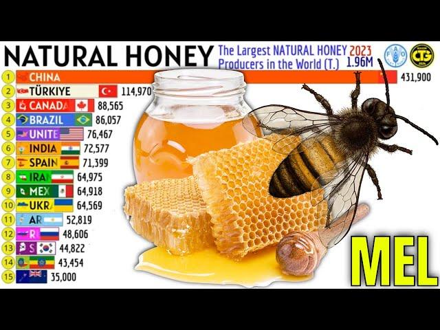 The Largest NATURAL HONEY Producers in the World