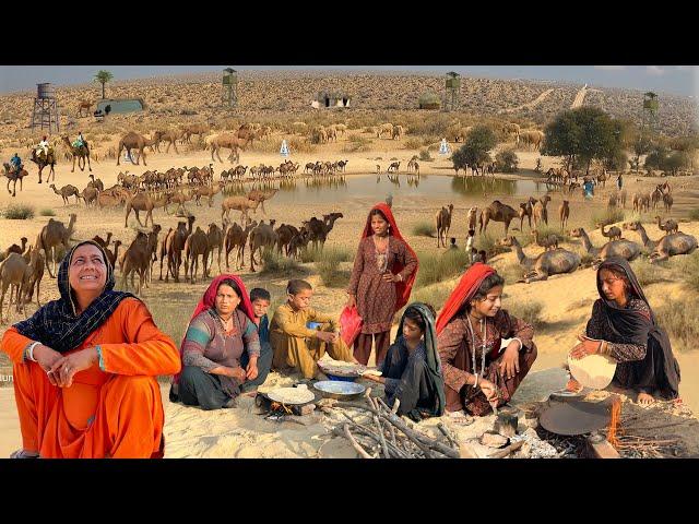 Desert Village Life of Camel People | Camel People Family Morning Routine In Hot Summer