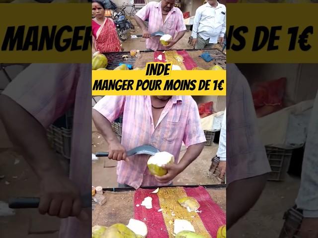 INDE : MANGER POUR MOINS DE 1€ #foodlover #streetfood #india