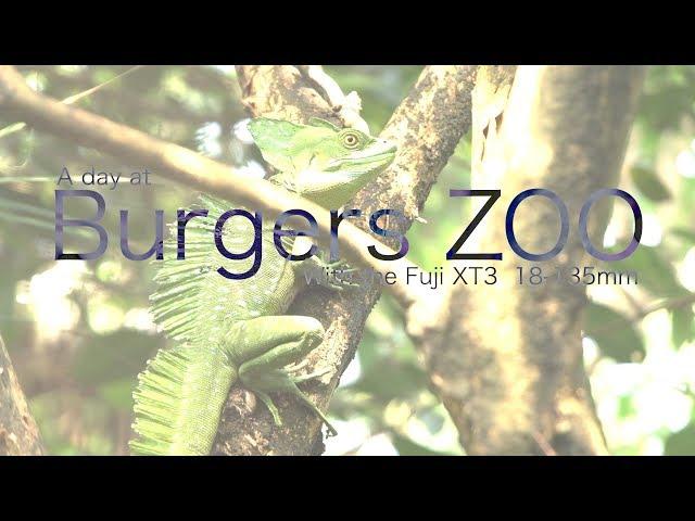 Come Explore Burgers Zoo With Me, Shot On The Fuji X T3 With 18 135mm Lens!