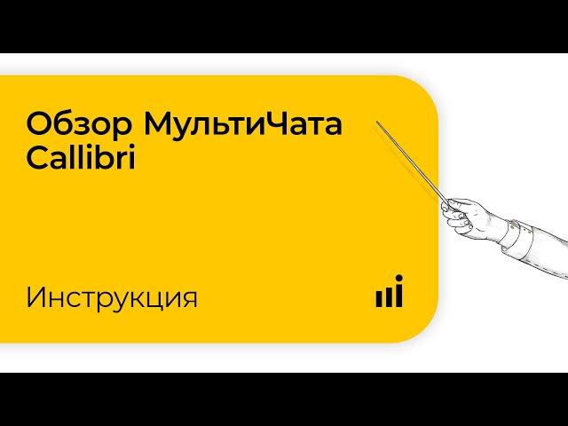 Обзор МультиЧата Callibri