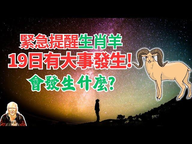 命理推算：生肖羊3天內波瀾起伏！10月19日隱藏驚喜，有不可錯失的良機，將迎驚天大轉折！接！ #2024年生肖羊運程 #2024年屬羊人運勢 #2024年生肖羊運勢 #2024年屬羊人運程